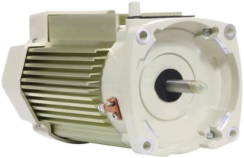 Pentair 356286S WhisperFlo VST/SuperFlo VST Motor without Drive – Whisperflo Vst