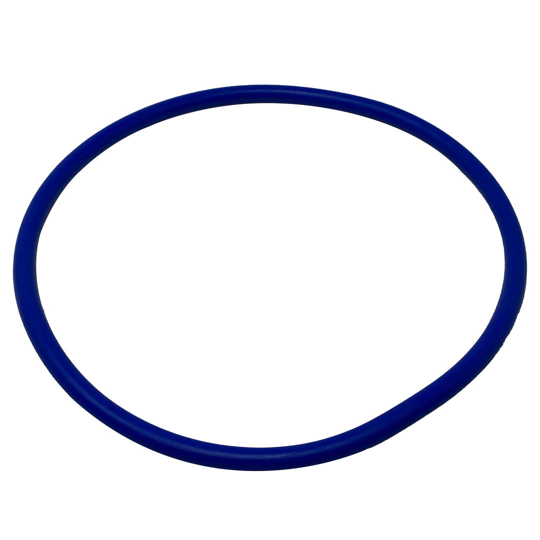 Pentair 356189Z Lid O-Ring â€“ Intelliflo 3 3Hp