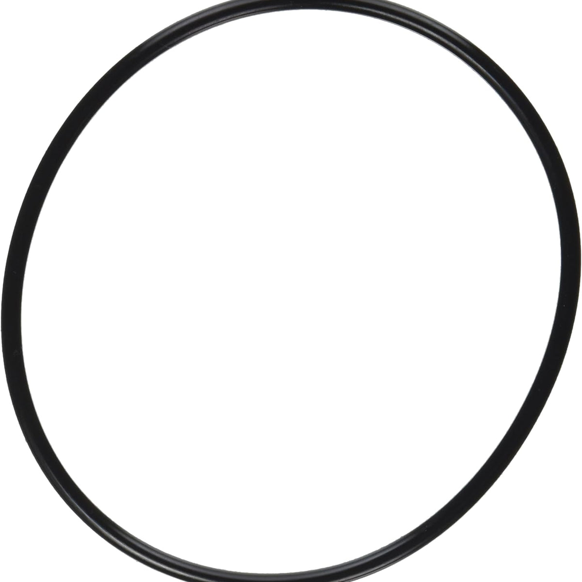 Pentair 357255Z Superflo VS/VST Lid O-Ring â€“ Supermax Vs Variable Speed Pump Parts And Accessories