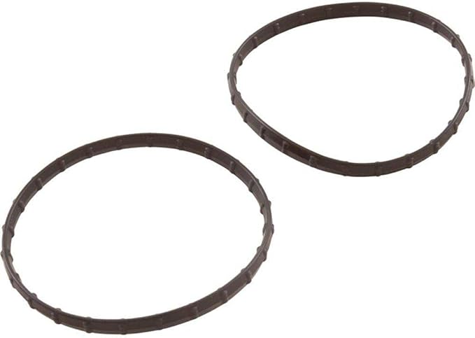 Pentair 178746Z Kit Seal Diamond 2.403 Replacement â€“ Clean Clear Rp 150 Cartridge Filter