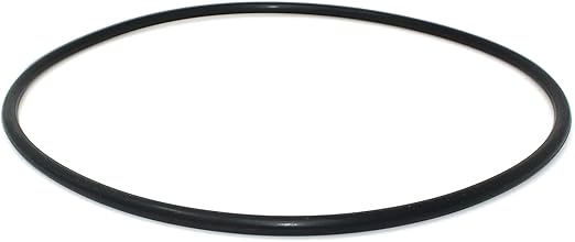 O-Ring, #436 BN50 - 6" Trap Lid - Waterway Mustang Vs 140 Pool Pump | 805-0436