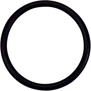 Pentair 274494Z O-Ring 2-332 Valve Adapter â€“ Triton Ii Sid.E. Mount Filter Tr100 No Valve 2