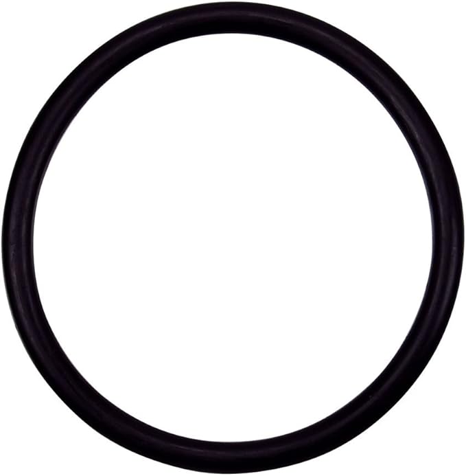 Pentair 154492 OÃ¢â‚¬â€˜Ring 3/16" x 2 5/8" ID â€“ Triton Ii Sid.E. Mount Filter No Valve Tr140 2