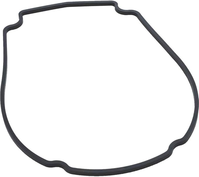Faceplate Gasket for Mini SVL Champion - Power D.E.Fend.E.R 225 Variable Speed Pump | 806-1400