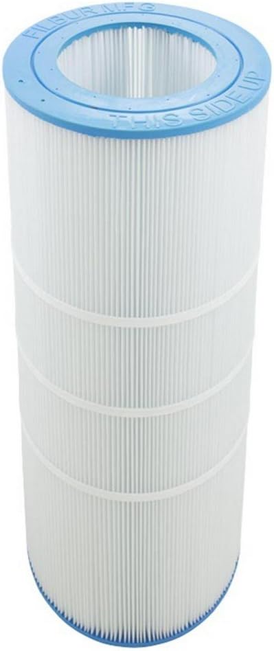 Pentair 100 Sq Ft Clean and Clear Replacement Cartridge Element - Pentair Clean Clear Rp 100 Cartridge Filter| R173215
