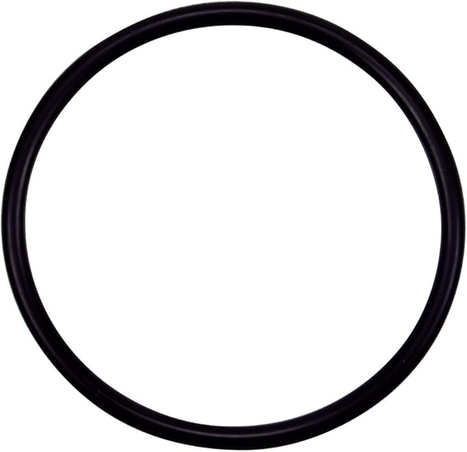 WaterFall Specialty Pump O-Ring, Strainer Pot Flange - Challenger High Pressure Pump Parts And Accessories || 355330