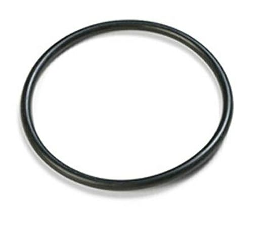 Dyna-Pro Pump Diffuser O-Ring - Intellipro Vsf Intellipro 2 Vst Post 2018 Parts And Accessories || U9-374Z