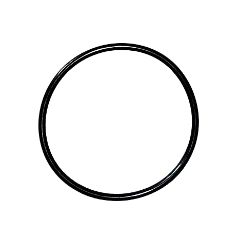 Pentair 357099Z Square Seal-Plate O-Ring for IntelliPro / Max-E-Pro Pumps â€“ Intellipro Variable Speed Pump Pre 2019 Parts And Accessories