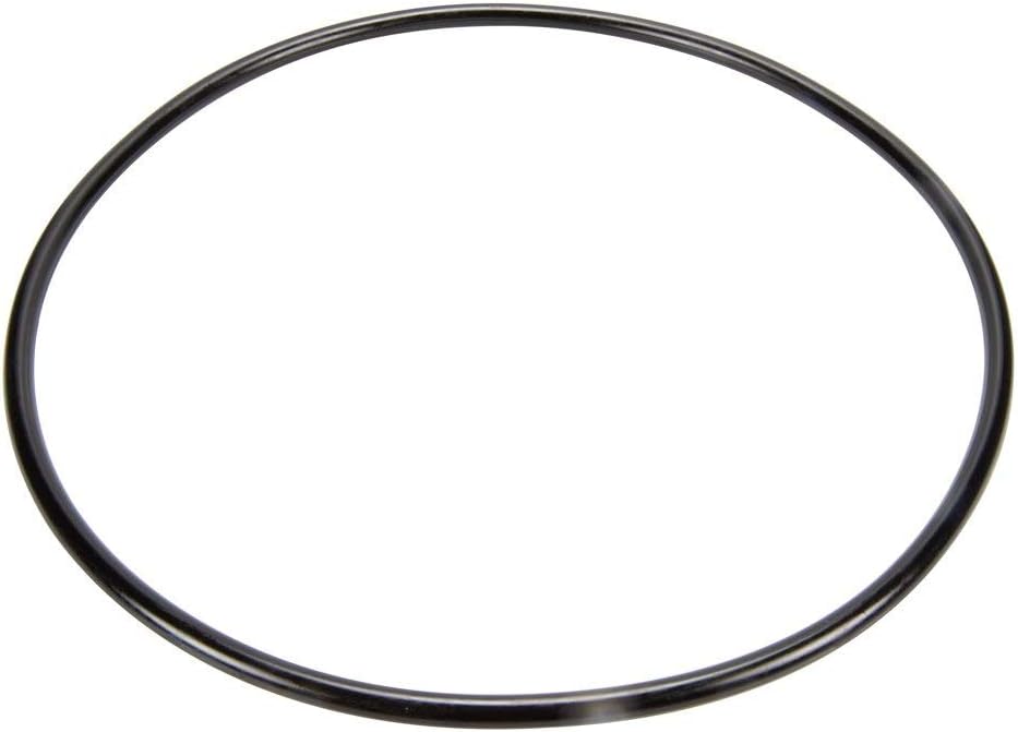 Pentair EasyClean Filter System Body O-Ring - Pentair Clean Clear Rp 100 Cartridge Filter| 87300400Z