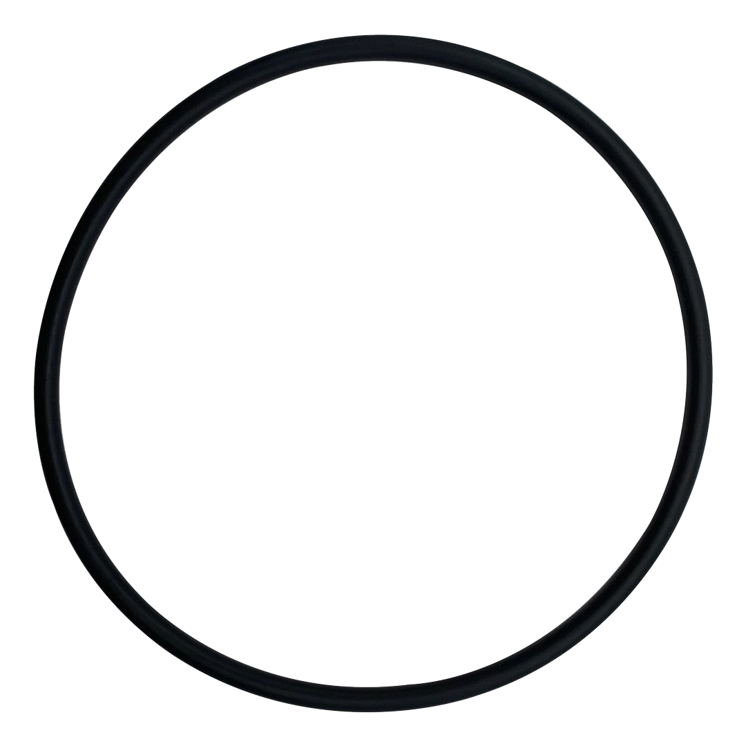Pentair 192320 Upper Bulkhead O-Ring for 2" DE Filters & Cartridges â€“ Clean And Clear Plus 520 Cartridge Filter