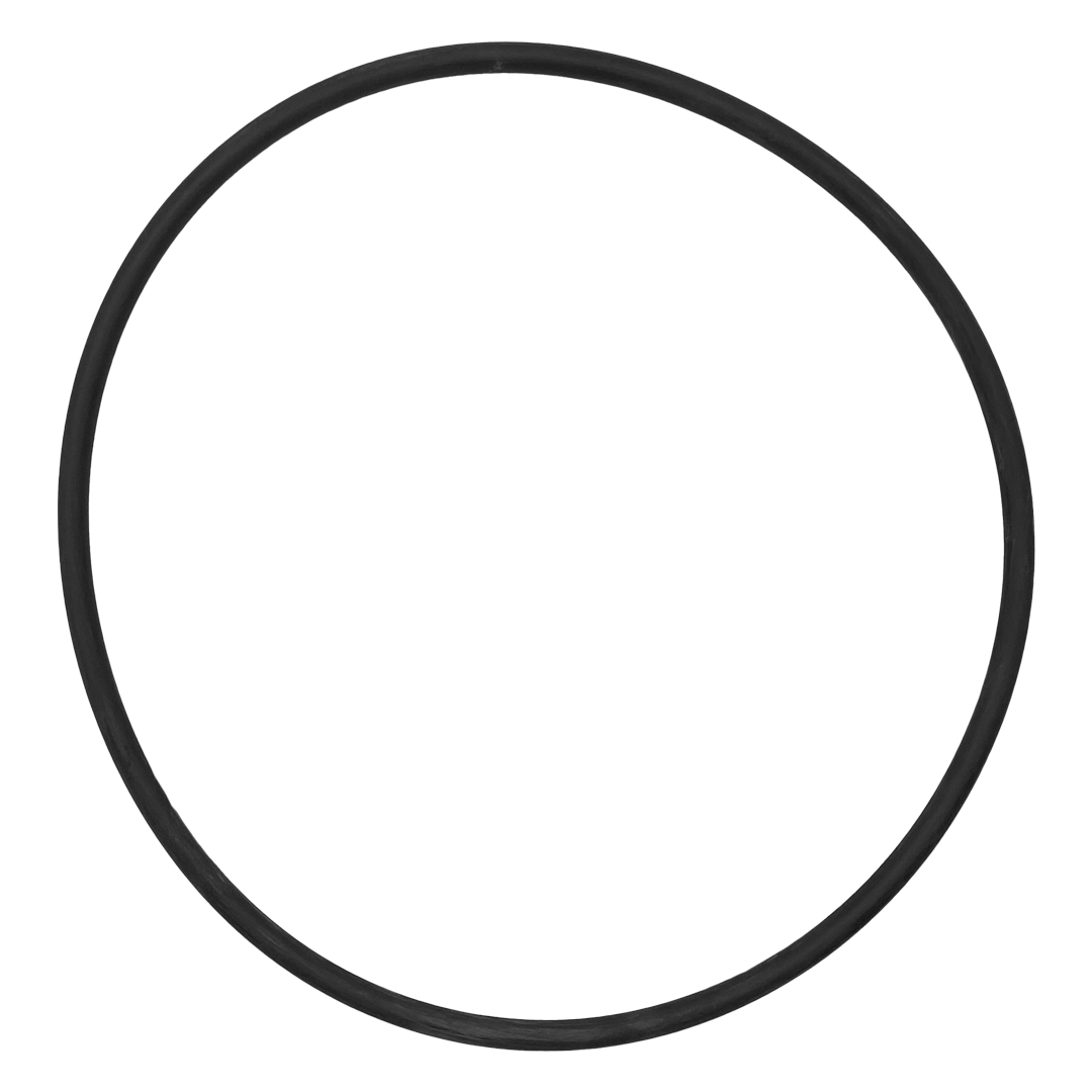 IntelliFloXF/WhisperFloXF VSF/VS Pump Seal Plate O-Ring - Intellipro Xf Vsf 3Hp Pump Parts And Accessories || 351446
