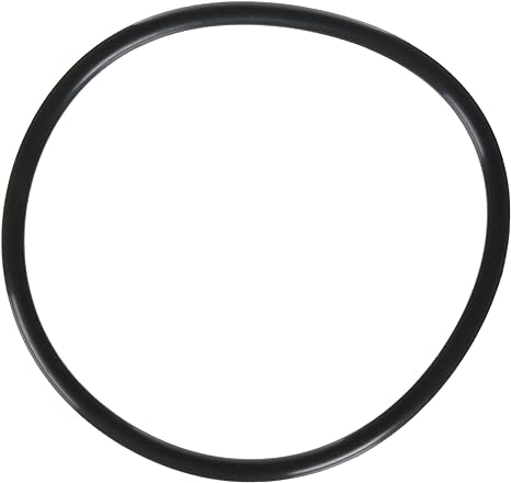 Jandy R0480200 VS FloPro 1.85 HP VS Pump Lid O-Ring â€“ Flopro Fhpm