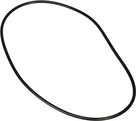 Jandy R0480300 VS FloPro 1.85 HP VS Pump Backplate O-Ring â€“ Vs Flopro 1 85 Hp Parts And Accessories