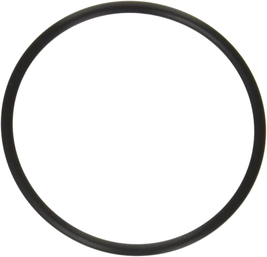 Strainer O-Ring