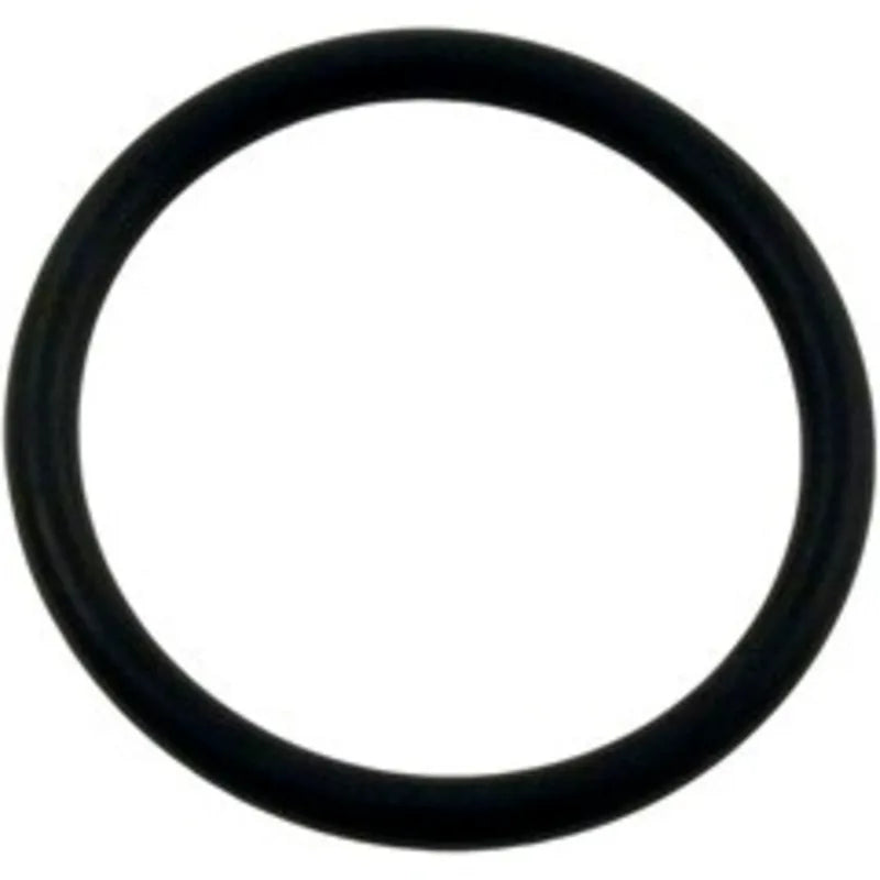 Strainer O-Ring
