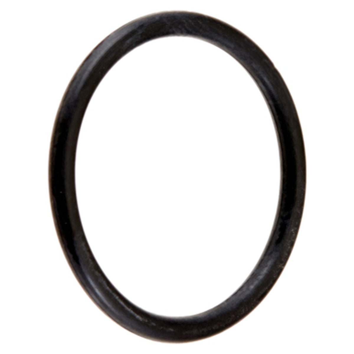 Hayward LOCKING KNOB O-RING Replacement Part - Hayward 25 Sq Ft Star Clear Cartridge Filter | CX250Z7