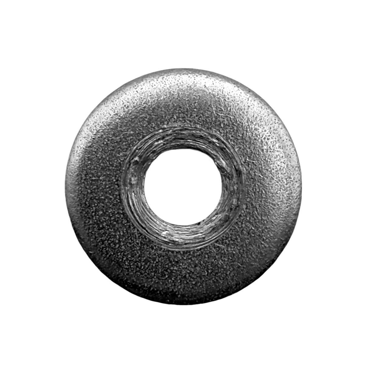 Pentair 195610 Stainless Steel Small Diameter Washer – Pro Grad.E. Fns Plus 48 D E Filter